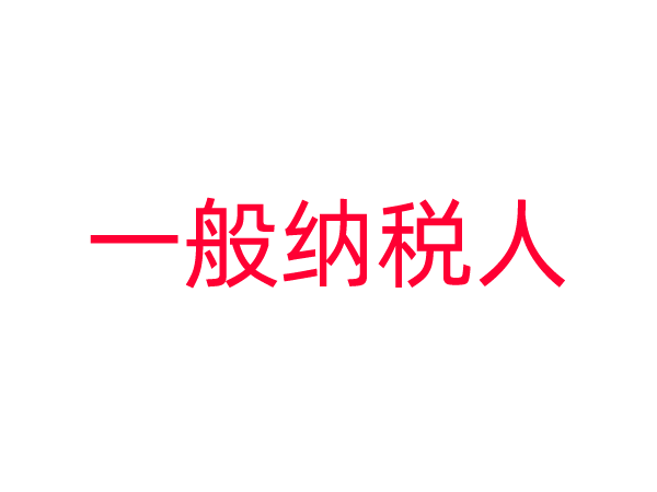 一般纳税人