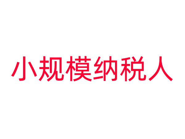 小规模纳税人